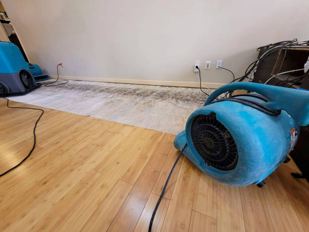 Professional Water Damage Repair technician working in Amherst, VA
